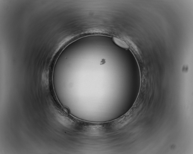 X0000100190108200805301256