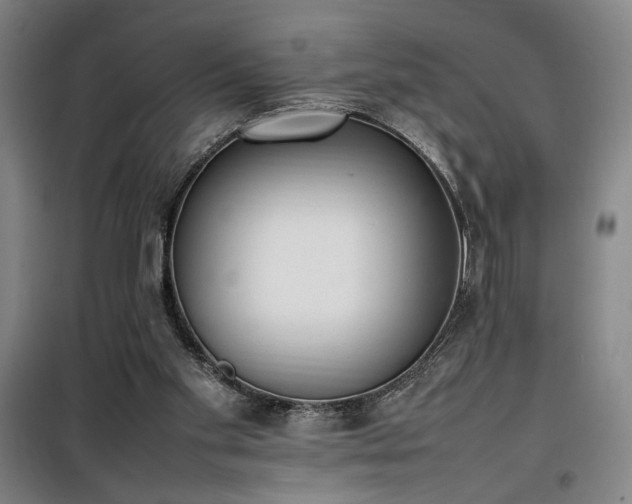 X0000100190109200805301256