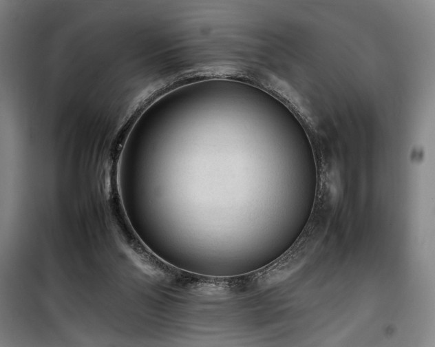 X0000100190110200805301256
