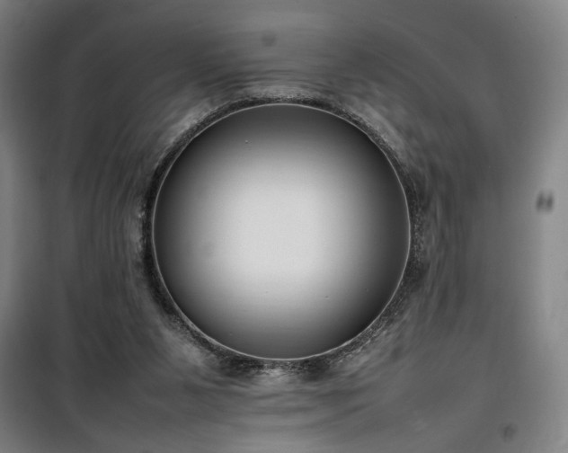 X0000100190111200805301256