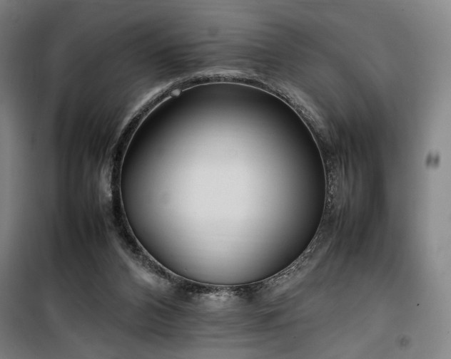 X0000100190112200805301256
