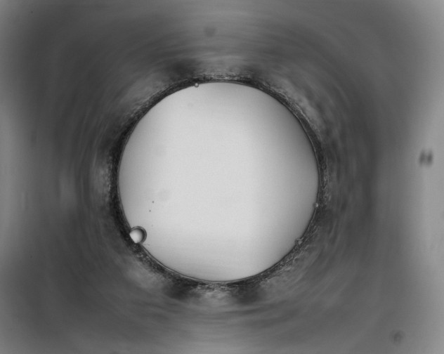 X0000100190113200805301256