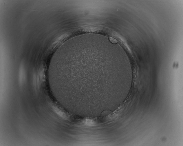 X0000100190114200805301256