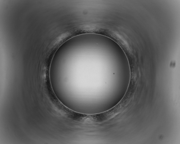 X0000100190115200805301256
