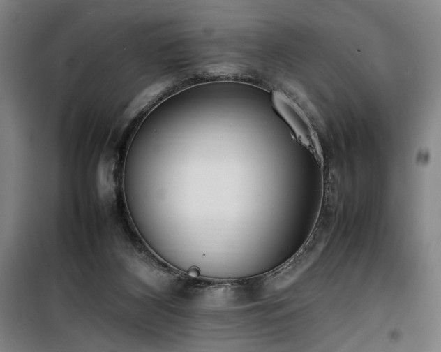 X0000100190116200805301256