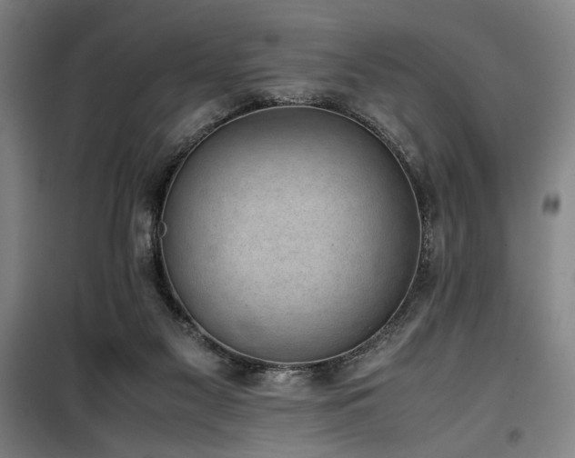 X0000100190117200805301256