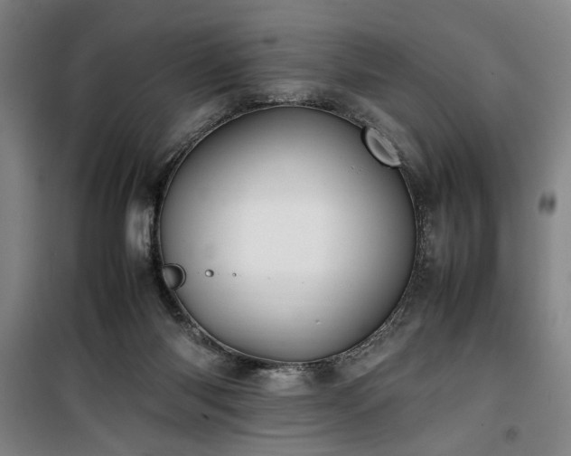X0000100190118200805301256