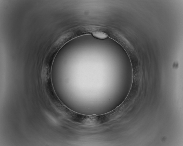 X0000100190119200805301256