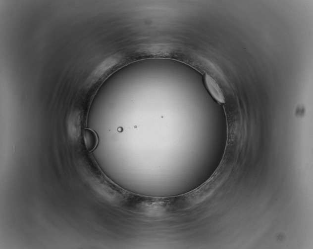 X0000100190120200805301256