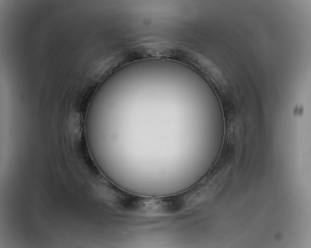 X0000100190121200805301256