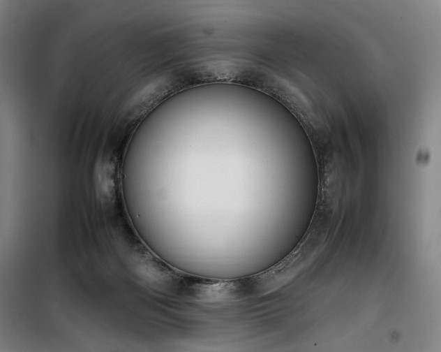 X0000100190122200805301256