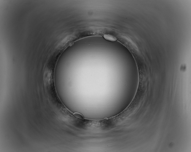 X0000100190123200805301256