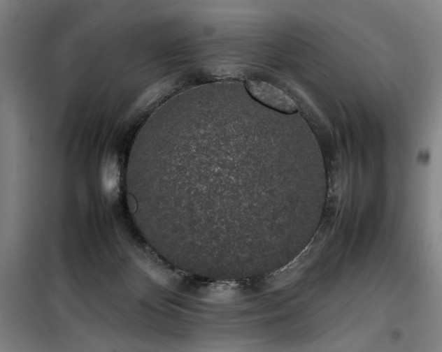 X0000100190124200805301256