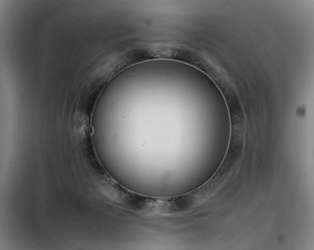 X0000100190125200805301256