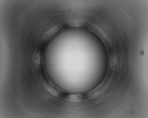 X0000100190126200805301256