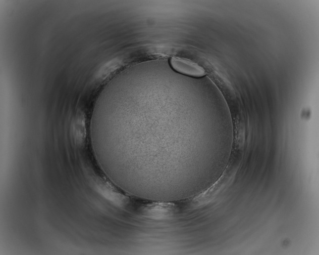 X0000100190128200805301256