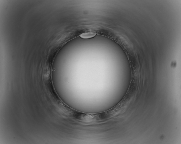X0000100190129200805301256