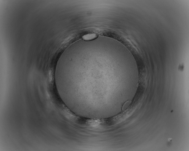 X0000100190131200805301256
