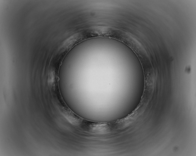 X0000100190132200805301256