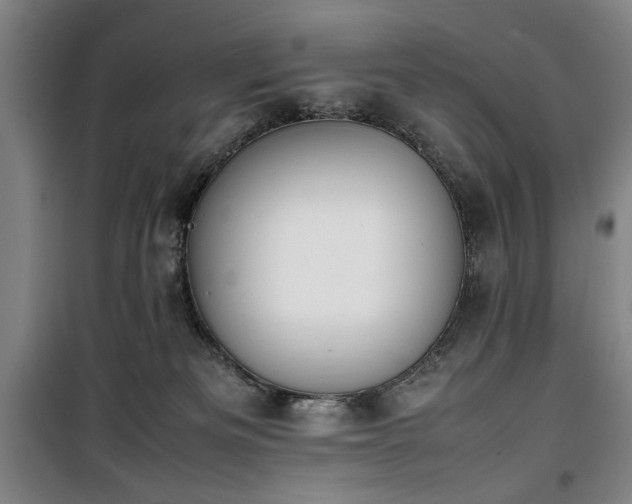 X0000100190133200805301256