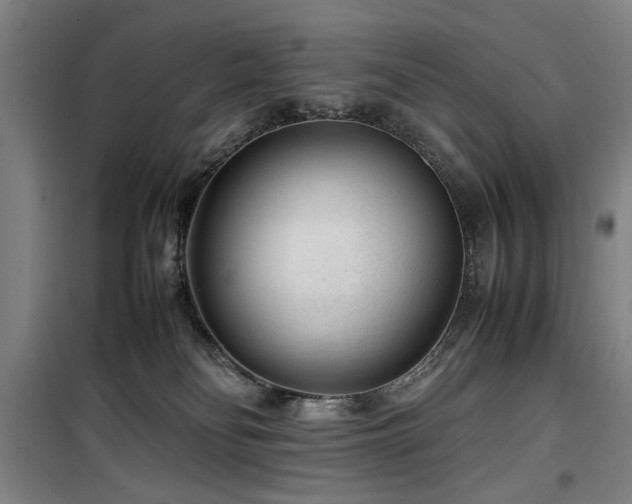 X0000100190134200805301256