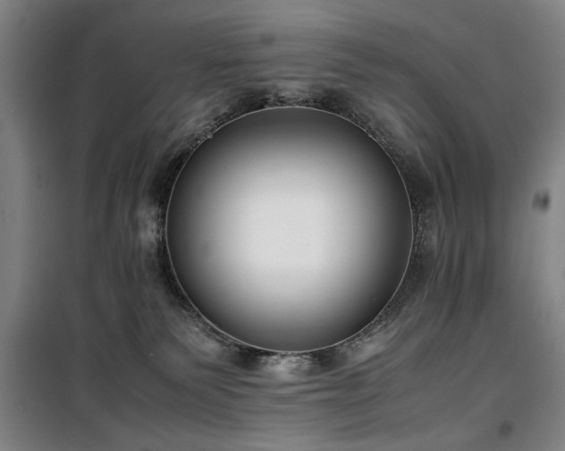 X0000100190135200805301256