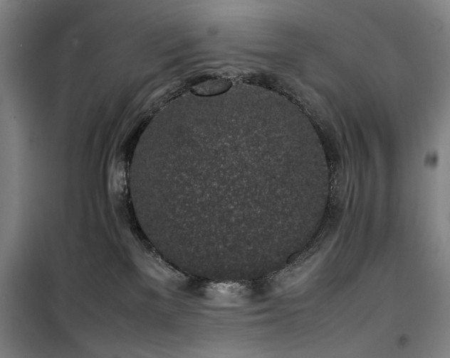 X0000100190137200805301256