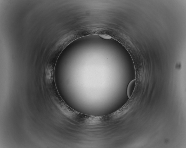 X0000100190138200805301256