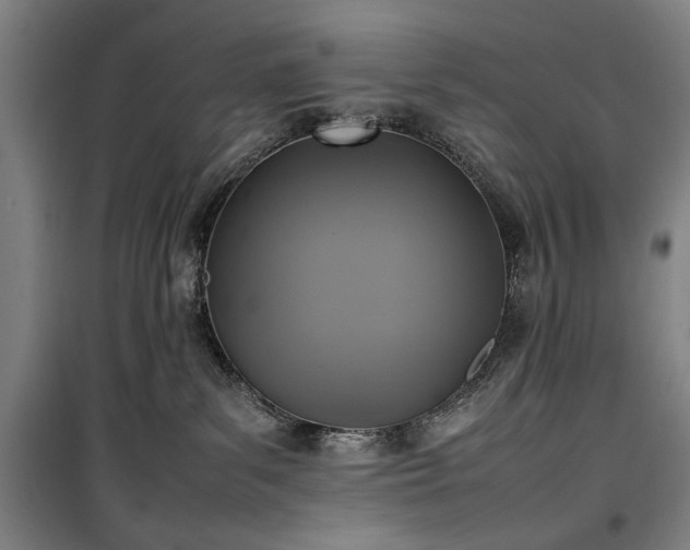 X0000100190139200805301256