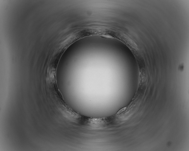 X0000100190141200805301256