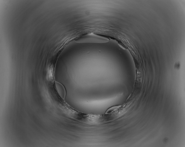 X0000100190143200805301256