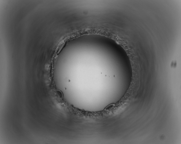 X0000100190144200805301256