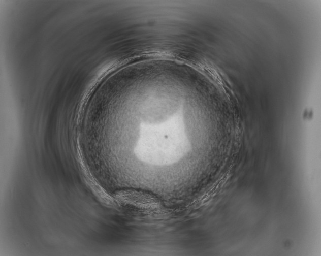 X0000100190145200805301255
