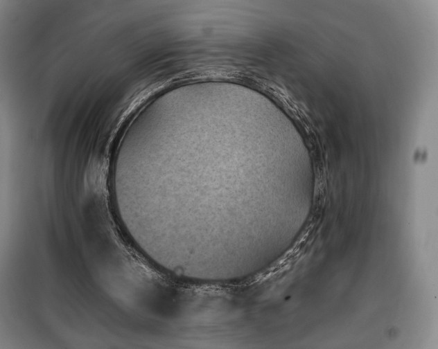 X0000100190146200805301255