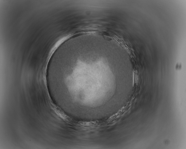 X0000100190147200805301255