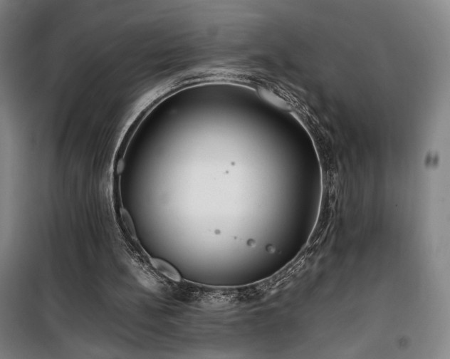 X0000100190148200805301255