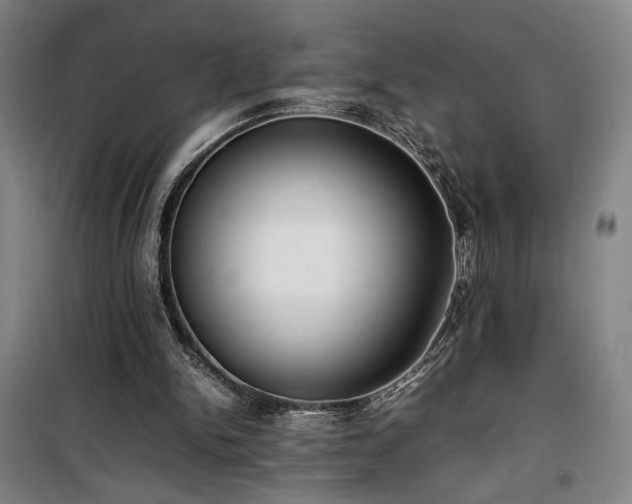 X0000100190150200805301255