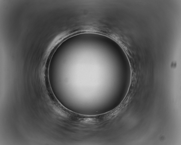 X0000100190151200805301255