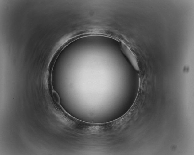 X0000100190152200805301255