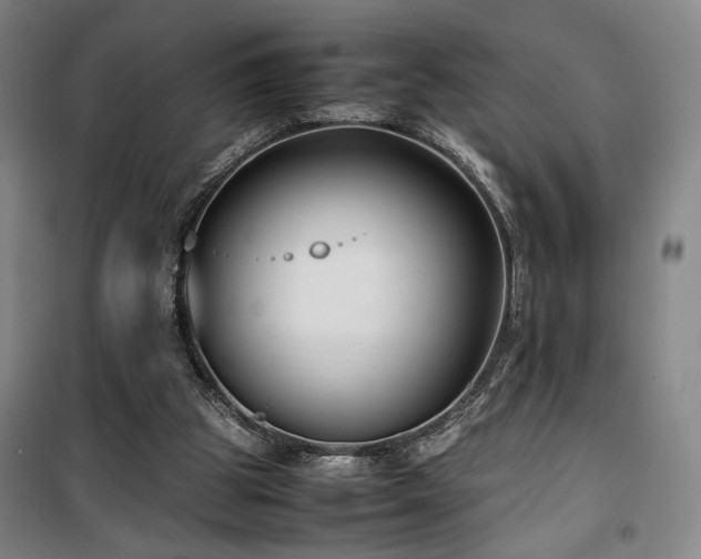 X0000100190153200805301255