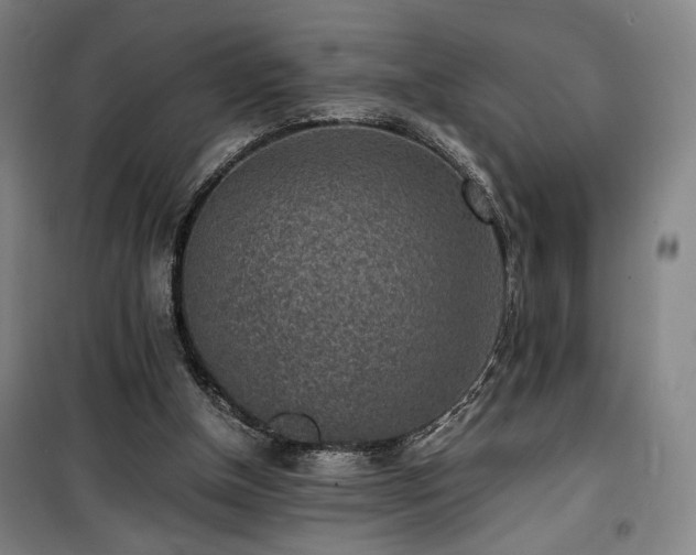 X0000100190154200805301255