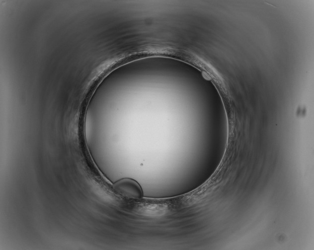 X0000100190155200805301255