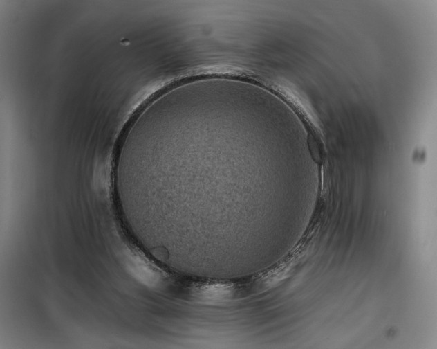 X0000100190156200805301255