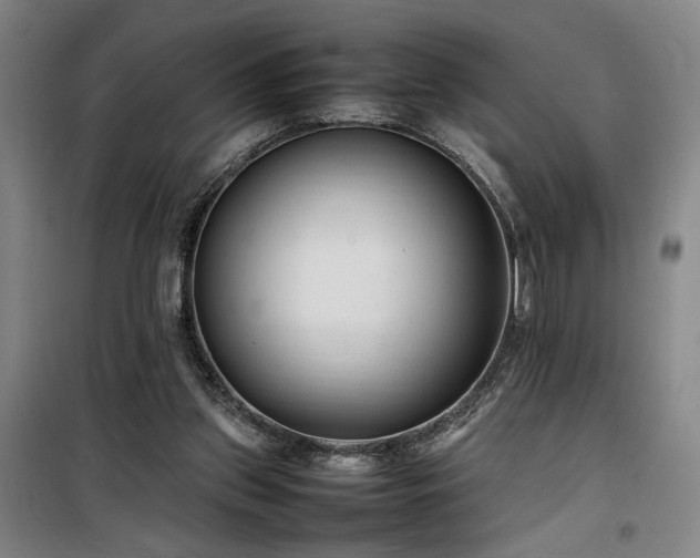 X0000100190157200805301255
