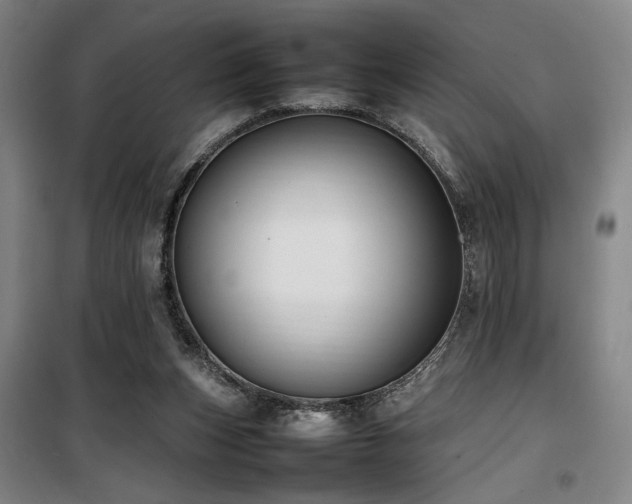X0000100190159200805301255