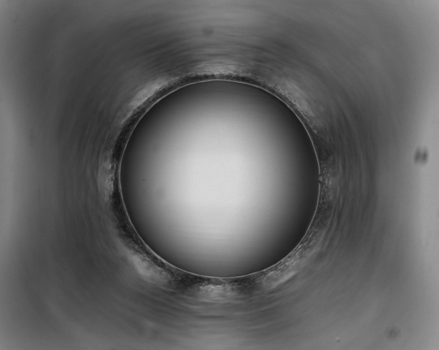 X0000100190160200805301255