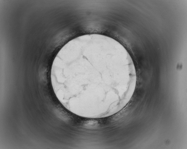 X0000100190162200805301255