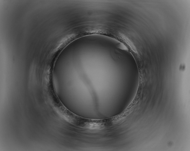 X0000100190163200805301255
