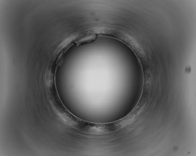 X0000100190164200805301255