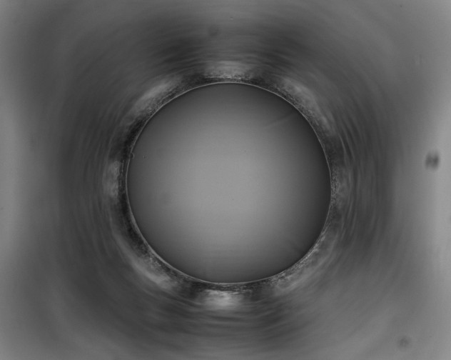 X0000100190167200805301255
